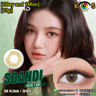 [1Day and 1Month]Olens Scandi Olive 스칸디 원데이 올리브